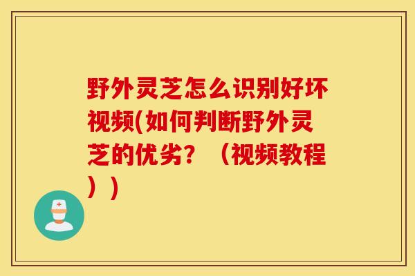 野外灵芝怎么识别好坏视频(如何判断野外灵芝的优劣？（视频教程）)-第1张图片-灵芝之家