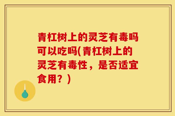 青杠树上的灵芝有毒吗可以吃吗(青杠树上的灵芝有毒性,是否适宜食用?)-第1张图片-灵芝之家 青杠树上的灵芝有毒吗可以吃吗(青杠树上的灵芝有毒性,是否适宜食用?)-第1张图片-灵芝之家
