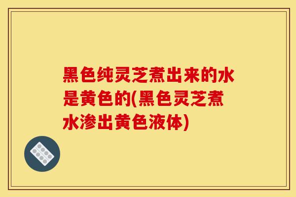 黑色纯灵芝煮出来的水是黄色的(黑色灵芝煮水渗出黄色液体)-第1张图片-灵芝之家