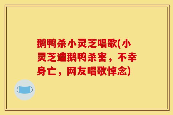 鹅鸭杀小灵芝唱歌(小灵芝遭鹅鸭杀害,不幸身亡,网友唱歌悼念)-第1张图片-灵芝之家 鹅鸭杀小灵芝唱歌(小灵芝遭鹅鸭杀害,不幸身亡,网友唱歌悼念)-第1张图片-灵芝之家