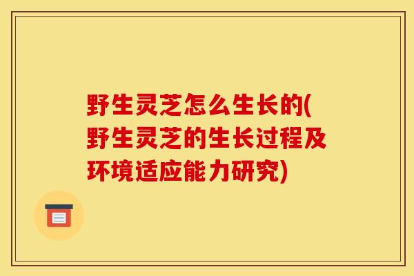 野生灵芝怎么生长的(野生灵芝的生长过程及环境适应能力研究)-第1张图片-灵芝之家 野生灵芝怎么生长的(野生灵芝的生长过程及环境适应能力研究)-第1张图片-灵芝之家
