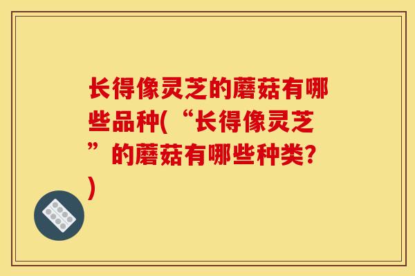 长得像灵芝的蘑菇有哪些品种(“长得像灵芝”的蘑菇有哪些种类？)-第1张图片-灵芝之家