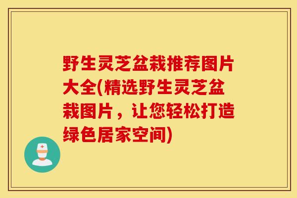 野生灵芝盆栽推荐图片大全(精选野生灵芝盆栽图片，让您轻松打造绿色居家空间)-第1张图片-灵芝之家