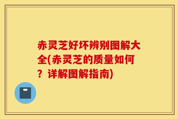 赤灵芝好坏辨别图解大全(赤灵芝的质量如何?详解图解指南)-第1张图片-灵芝之家 赤灵芝好坏辨别图解大全(赤灵芝的质量如何?详解图解指南)-第1张图片-灵芝之家