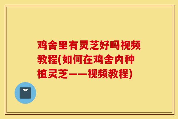 鸡舍里有灵芝好吗视频教程(如何在鸡舍内种植灵芝——视频教程)-第1张图片-灵芝之家