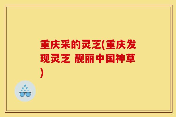 重庆采的灵芝(重庆发现灵芝 靓丽中国神草)-第1张图片-灵芝之家