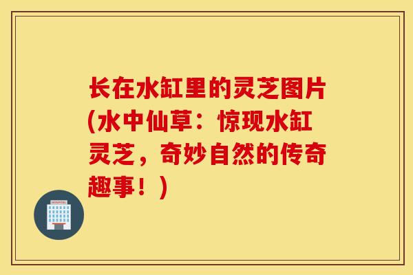 长在水缸里的灵芝图片(水中仙草:惊现水缸灵芝,奇妙自然的传奇趣事!)-第1张图片-灵芝之家 长在水缸里的灵芝图片(水中仙草:惊现水缸灵芝,奇妙自然的传奇趣事!)-第1张图片-灵芝之家