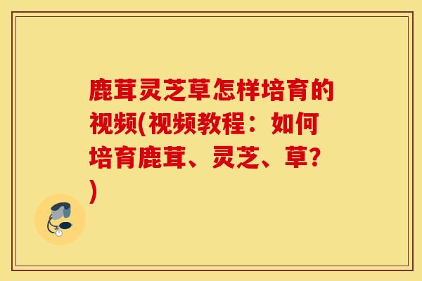 鹿茸灵芝草怎样培育的视频(视频教程:如何培育鹿茸、灵芝、草?)-第1张图片-灵芝之家 鹿茸灵芝草怎样培育的视频(视频教程:如何培育鹿茸、灵芝、草?)-第1张图片-灵芝之家