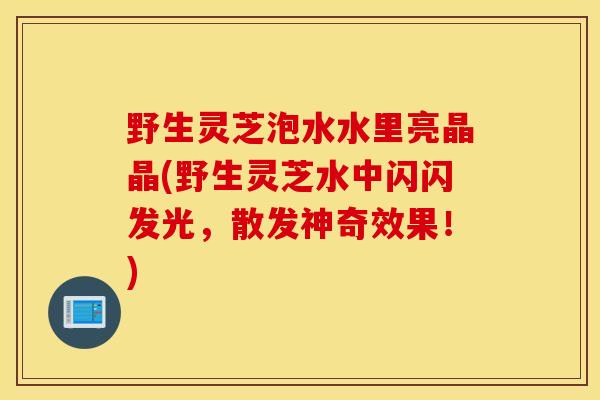 野生灵芝泡水水里亮晶晶(野生灵芝水中闪闪发光，散发神奇效果！)-第1张图片-灵芝之家