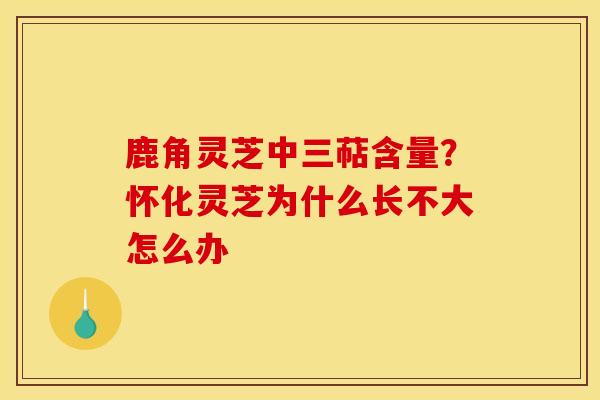 鹿角灵芝中三萜含量?怀化灵芝为什么长不大怎么办-第1张图片-灵芝之家 鹿角灵芝中三萜含量?怀化灵芝为什么长不大怎么办-第1张图片-灵芝之家