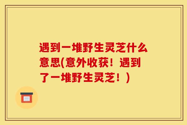 遇到一堆野生灵芝什么意思(意外收获!遇到了一堆野生灵芝!)-第1张图片-灵芝之家 遇到一堆野生灵芝什么意思(意外收获!遇到了一堆野生灵芝!)-第1张图片-灵芝之家