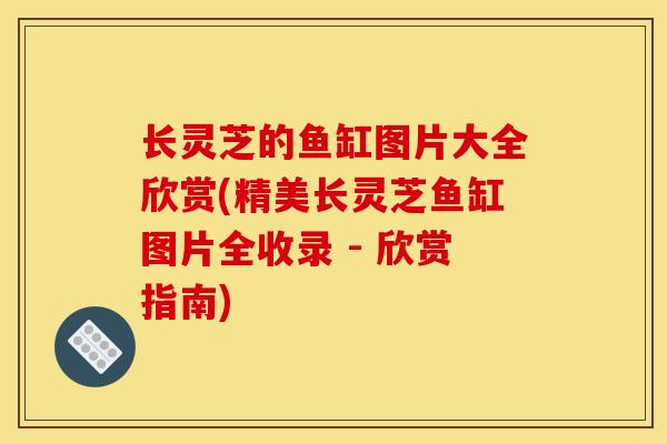 长灵芝的鱼缸图片大全欣赏(精美长灵芝鱼缸图片全收录 - 欣赏指南)-第1张图片-灵芝之家 长灵芝的鱼缸图片大全欣赏(精美长灵芝鱼缸图片全收录 - 欣赏指南)-第1张图片-灵芝之家