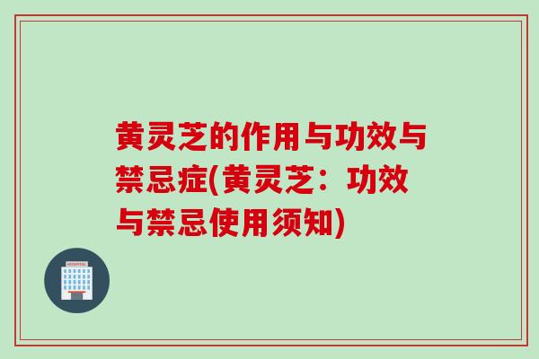 黄灵芝的作用与功效与禁忌症(黄灵芝:功效与禁忌使用须知)-第1张图片-灵芝之家 黄灵芝的作用与功效与禁忌症(黄灵芝:功效与禁忌使用须知)-第1张图片-灵芝之家