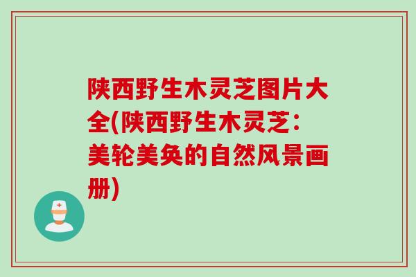 陕西野生木灵芝图片大全(陕西野生木灵芝:美轮美奂的自然风景画册)-第1张图片-灵芝之家 陕西野生木灵芝图片大全(陕西野生木灵芝:美轮美奂的自然风景画册)-第1张图片-灵芝之家