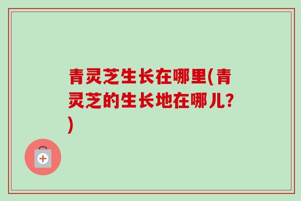 青灵芝生长在哪里(青灵芝的生长地在哪儿?)-第1张图片-灵芝之家 青灵芝生长在哪里(青灵芝的生长地在哪儿?)-第1张图片-灵芝之家
