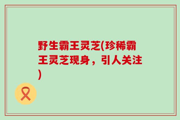 野生霸王灵芝(珍稀霸王灵芝现身，引人关注)-第1张图片-灵芝之家
