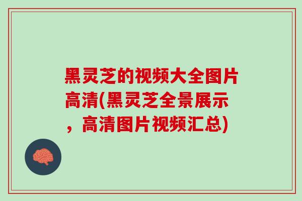 黑灵芝的视频大全图片高清(黑灵芝全景展示,高清图片视频汇总)-第1张图片-灵芝之家 黑灵芝的视频大全图片高清(黑灵芝全景展示,高清图片视频汇总)-第1张图片-灵芝之家
