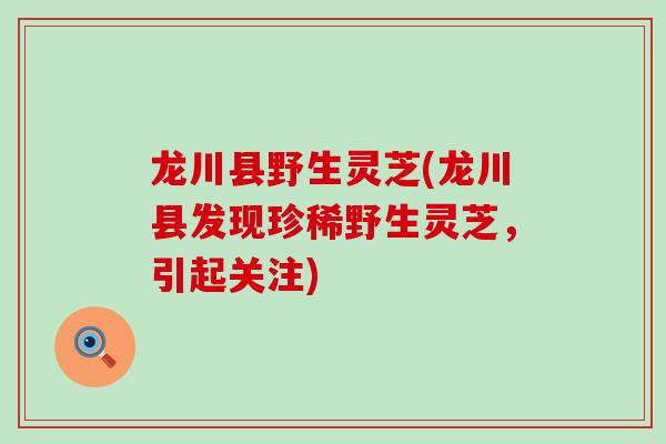 龙川县野生灵芝(龙川县发现珍稀野生灵芝,引起关注)-第1张图片-灵芝之家 龙川县野生灵芝(龙川县发现珍稀野生灵芝,引起关注)-第1张图片-灵芝之家