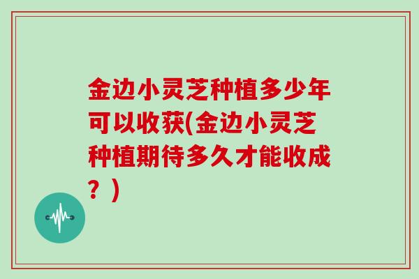 金边小灵芝种植多少年可以收获(金边小灵芝种植期待多久才能收成？)-第1张图片-灵芝之家