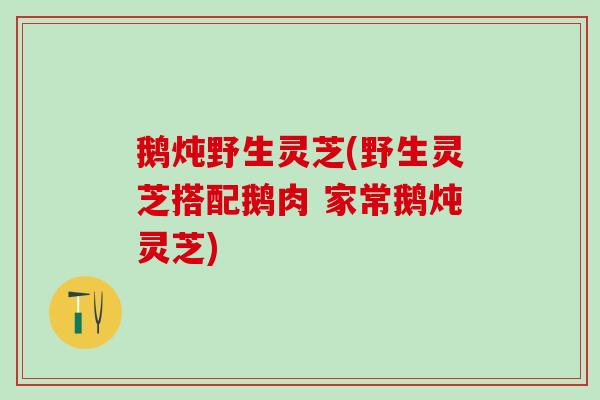 鹅炖野生灵芝(野生灵芝搭配鹅肉 家常鹅炖灵芝)-第1张图片-灵芝之家 鹅炖野生灵芝(野生灵芝搭配鹅肉 家常鹅炖灵芝)-第1张图片-灵芝之家