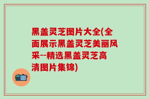 黑盖灵芝图片大全(全面展示黑盖灵芝美丽风采--精选黑盖灵芝高清图片集锦)-第1张图片-灵芝之家 黑盖灵芝图片大全(全面展示黑盖灵芝美丽风采--精选黑盖灵芝高清图片集锦)-第1张图片-灵芝之家