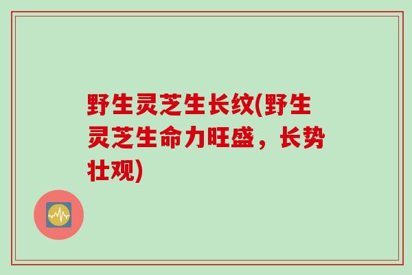 野生灵芝生长纹(野生灵芝生命力旺盛,长势壮观)-第1张图片-灵芝之家 野生灵芝生长纹(野生灵芝生命力旺盛,长势壮观)-第1张图片-灵芝之家