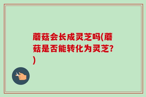 蘑菇会长成灵芝吗(蘑菇是否能转化为灵芝？)-第1张图片-灵芝之家