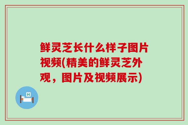 鲜灵芝长什么样子图片视频(精美的鲜灵芝外观,图片及视频展示)-第1张图片-灵芝之家 鲜灵芝长什么样子图片视频(精美的鲜灵芝外观,图片及视频展示)-第1张图片-灵芝之家