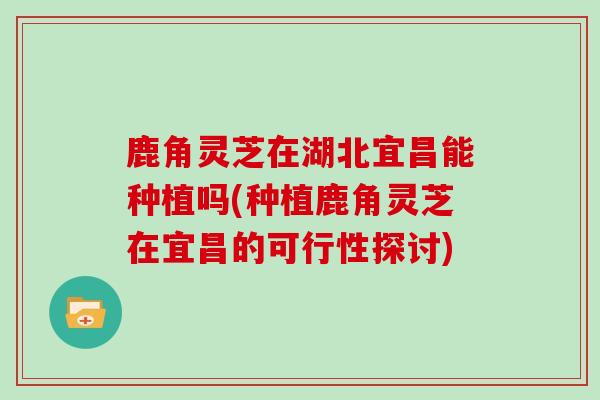 鹿角灵芝在湖北宜昌能种植吗(种植鹿角灵芝在宜昌的可行性探讨)-第1张图片-灵芝之家