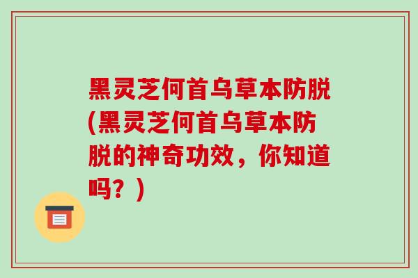 黑灵芝何首乌草本防脱(黑灵芝何首乌草本防脱的神奇功效,你知道吗?)-第1张图片-灵芝之家 黑灵芝何首乌草本防脱(黑灵芝何首乌草本防脱的神奇功效,你知道吗?)-第1张图片-灵芝之家