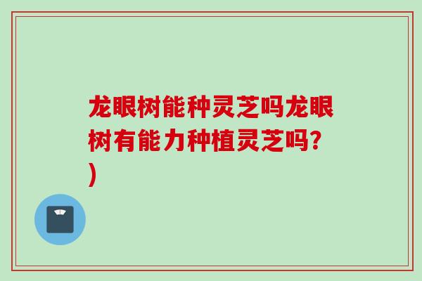 龙眼树能种灵芝吗龙眼树有能力种植灵芝吗？)-第1张图片-灵芝之家
