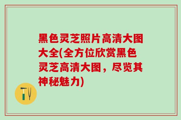 黑色灵芝照片高清大图大全(全方位欣赏黑色灵芝高清大图,尽览其神秘魅力)-第1张图片-灵芝之家 黑色灵芝照片高清大图大全(全方位欣赏黑色灵芝高清大图,尽览其神秘魅力)-第1张图片-灵芝之家
