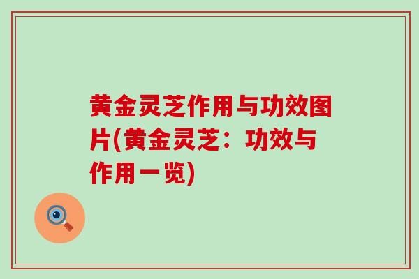 黄金灵芝作用与功效图片(黄金灵芝:功效与作用一览)-第1张图片-灵芝之家 黄金灵芝作用与功效图片(黄金灵芝:功效与作用一览)-第1张图片-灵芝之家