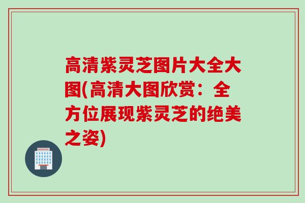 高清紫灵芝图片大全大图(高清大图欣赏:全方位展现紫灵芝的绝美之姿)-第1张图片-灵芝之家 高清紫灵芝图片大全大图(高清大图欣赏:全方位展现紫灵芝的绝美之姿)-第1张图片-灵芝之家