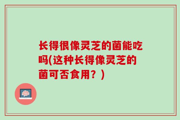 长得很像灵芝的菌能吃吗(这种长得像灵芝的菌可否食用?)-第1张图片-灵芝之家 长得很像灵芝的菌能吃吗(这种长得像灵芝的菌可否食用?)-第1张图片-灵芝之家