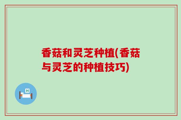 香菇和灵芝种植(香菇与灵芝的种植技巧)-第1张图片-灵芝之家 香菇和灵芝种植(香菇与灵芝的种植技巧)-第1张图片-灵芝之家