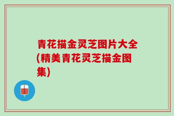 青花描金灵芝图片大全(精美青花灵芝描金图集)-第1张图片-灵芝之家