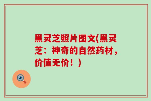 黑灵芝照片图文(黑灵芝:神奇的自然药材,价值无价!)-第1张图片-灵芝之家 黑灵芝照片图文(黑灵芝:神奇的自然药材,价值无价!)-第1张图片-灵芝之家
