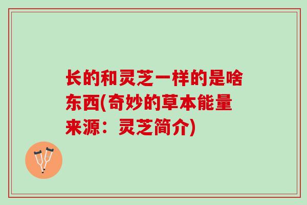 长的和灵芝一样的是啥东西(奇妙的草本能量来源:灵芝简介)-第1张图片-灵芝之家 长的和灵芝一样的是啥东西(奇妙的草本能量来源:灵芝简介)-第1张图片-灵芝之家