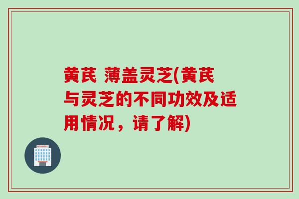 黄芪 薄盖灵芝(黄芪与灵芝的不同功效及适用情况,请了解)-第1张图片-灵芝之家 黄芪 薄盖灵芝(黄芪与灵芝的不同功效及适用情况,请了解)-第1张图片-灵芝之家