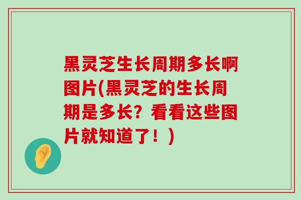 黑灵芝生长周期多长啊图片(黑灵芝的生长周期是多长?看看这些图片就知道了!)-第1张图片-灵芝之家 黑灵芝生长周期多长啊图片(黑灵芝的生长周期是多长?看看这些图片就知道了!)-第1张图片-灵芝之家