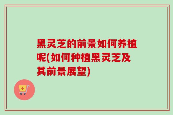 黑灵芝的前景如何养植呢(如何种植黑灵芝及其前景展望)-第1张图片-灵芝之家 黑灵芝的前景如何养植呢(如何种植黑灵芝及其前景展望)-第1张图片-灵芝之家