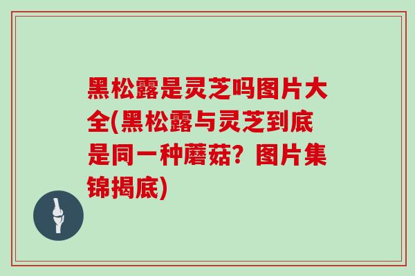 黑松露是灵芝吗图片大全(黑松露与灵芝到底是同一种蘑菇?图片集锦揭底)-第1张图片-灵芝之家 黑松露是灵芝吗图片大全(黑松露与灵芝到底是同一种蘑菇?图片集锦揭底)-第1张图片-灵芝之家