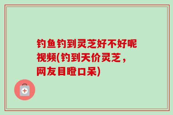 钓鱼钓到灵芝好不好呢视频(钓到天价灵芝，网友目瞪口呆)-第1张图片-灵芝之家