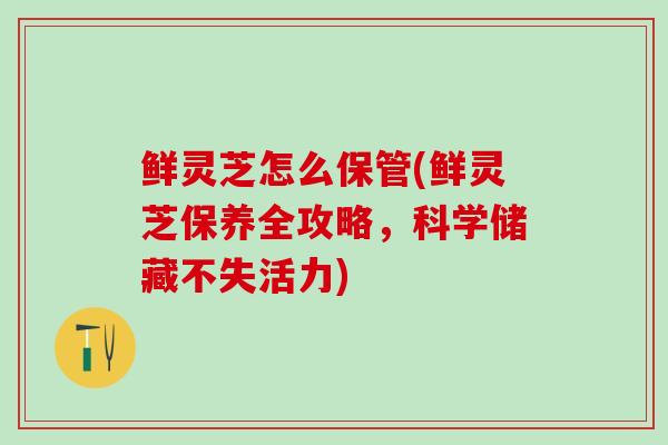 鲜灵芝怎么保管(鲜灵芝保养全攻略,科学储藏不失活力)-第1张图片-灵芝之家 鲜灵芝怎么保管(鲜灵芝保养全攻略,科学储藏不失活力)-第1张图片-灵芝之家