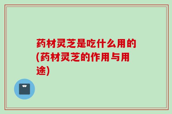 药材灵芝是吃什么用的(药材灵芝的作用与用途)-第1张图片-灵芝之家