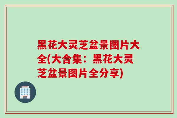 黑花大灵芝盆景图片大全(大合集：黑花大灵芝盆景图片全分享)-第1张图片-灵芝之家