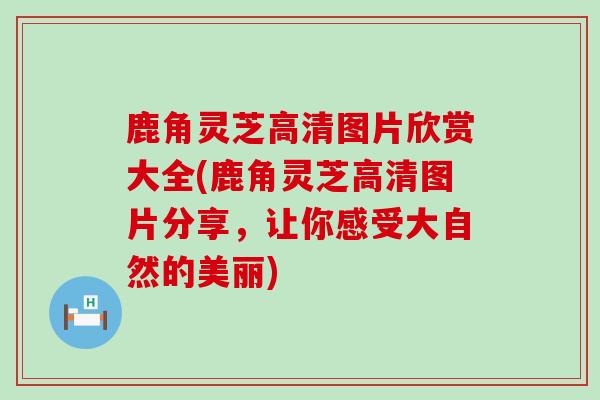 鹿角灵芝高清图片欣赏大全(鹿角灵芝高清图片分享,让你感受大自然的美丽)-第1张图片-灵芝之家 鹿角灵芝高清图片欣赏大全(鹿角灵芝高清图片分享,让你感受大自然的美丽)-第1张图片-灵芝之家