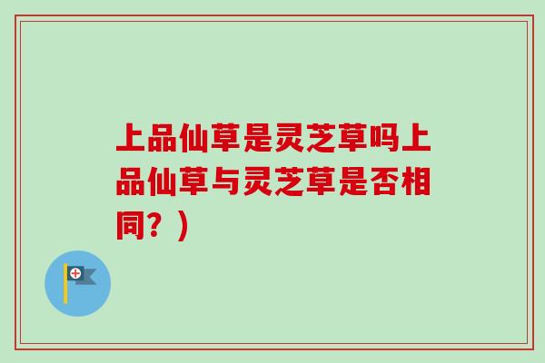 上品仙草是灵芝草吗上品仙草与灵芝草是否相同?)-第1张图片-灵芝之家 上品仙草是灵芝草吗上品仙草与灵芝草是否相同?)-第1张图片-灵芝之家