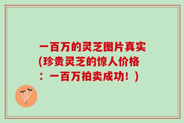 一百万的灵芝图片真实(珍贵灵芝的惊人价格：一百万拍卖成功！)-第1张图片-灵芝之家